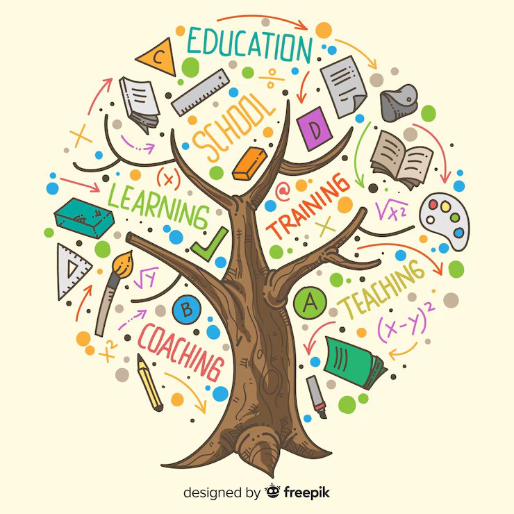 Study Abroad Accommodation
